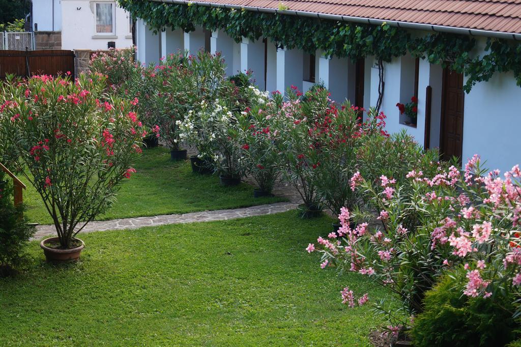 Cseresznyés Vendégház Szomolya Exterior foto